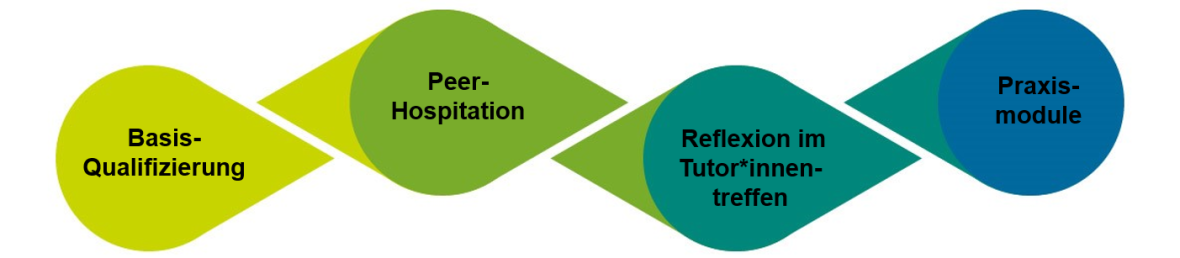 Vier Bausteine der Fachtutor*innenqualifizierung